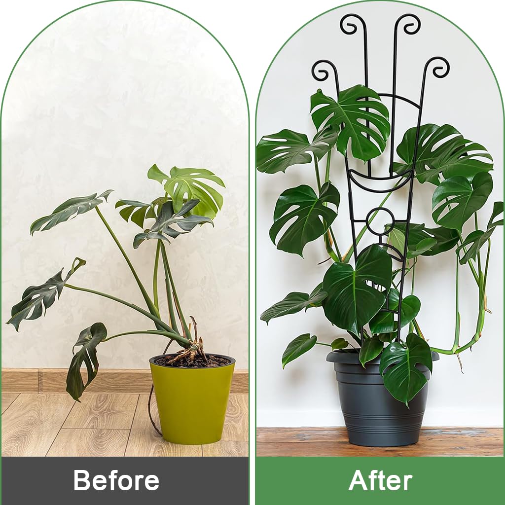 HASTHIP Flower Trellis for Climbing Plants with 32 in Frame and Cut Out Design | Sheathed Metal Pipe Support