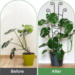 HASTHIP Flower Trellis for Climbing Plants with 32 in Frame and Cut Out Design | Sheathed Metal Pipe Support
