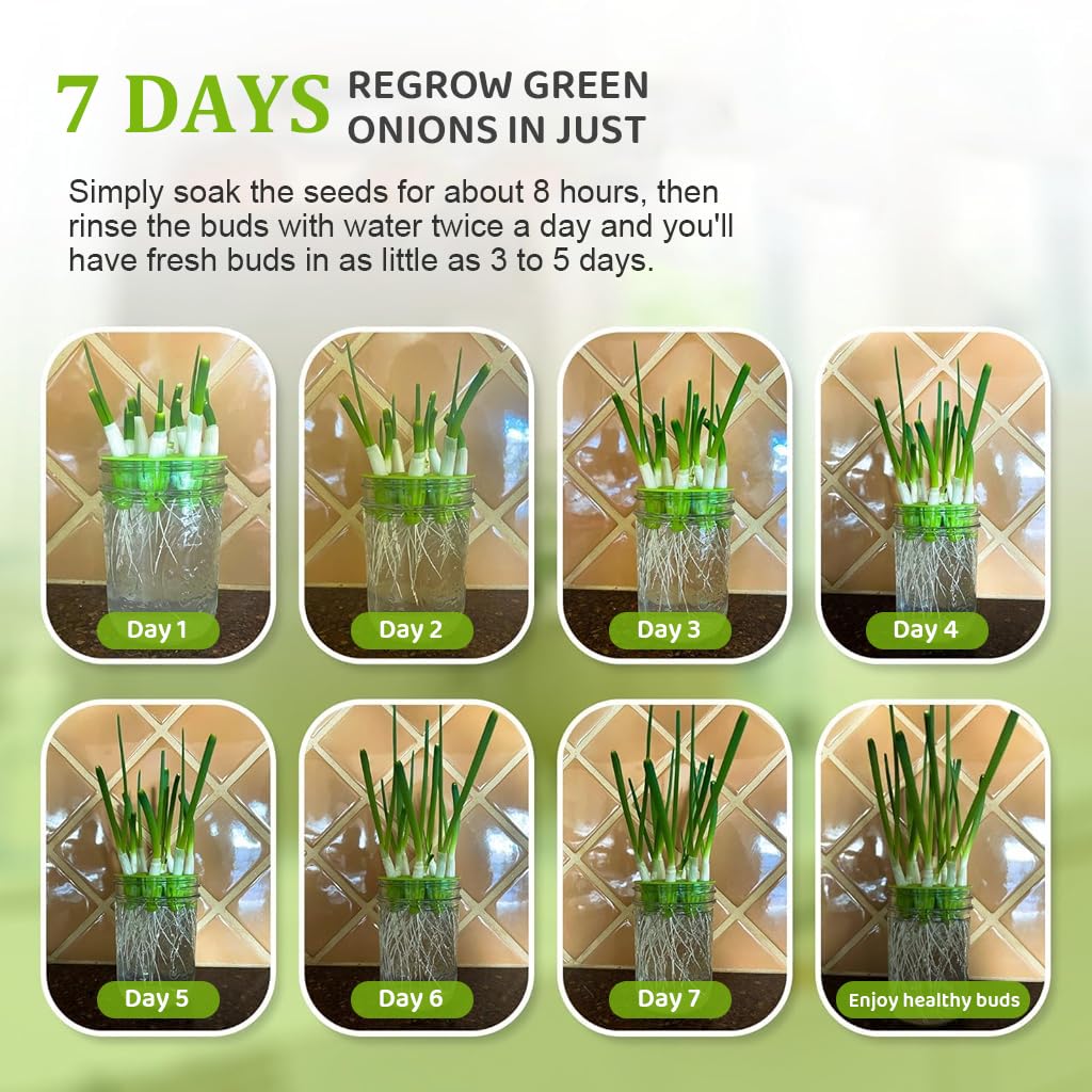 HASTHIP® Seed Sprouting Jar Kit - Bean Sprouts Growing Kit - 32OZ Glass Sprouting Mason Jar with Ventilation Mesh Screen Sprouting Lids & Light Shield - Sprouting Kit for Homemade Edible Sprouts