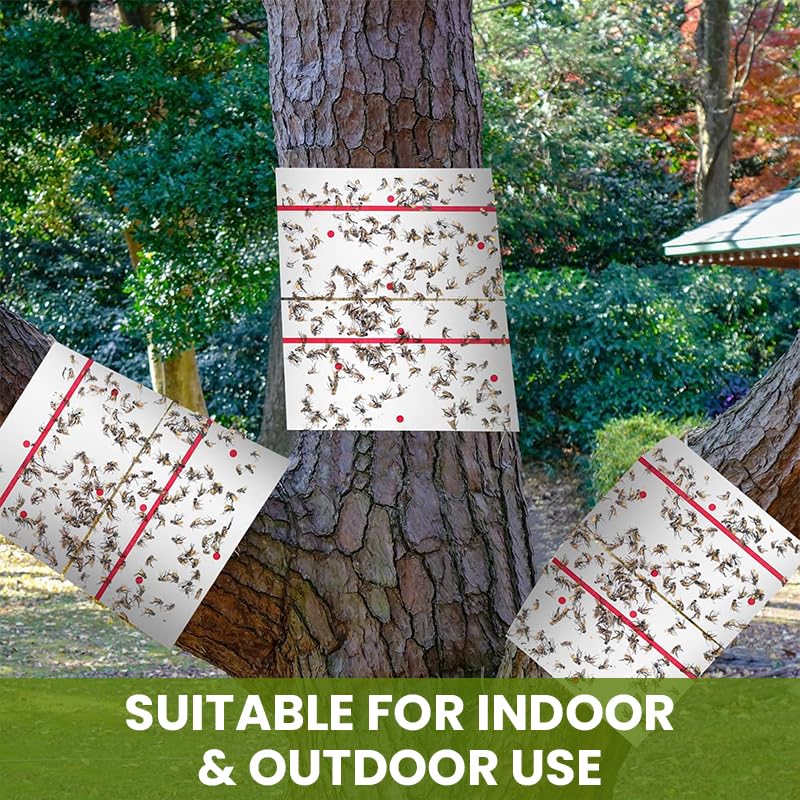 HASTHIP Sticky Trap Roll for Indoor and Outdoor Insect Control with Extra Sticky 10m Roll | Safe Non Toxic Fly Catcher for Garden and Home