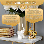 HASTHIP Ceramic Elephant Desk Decor for Home with Dual Color Design 5x5x8.8 cm | Symbolic Gift Set