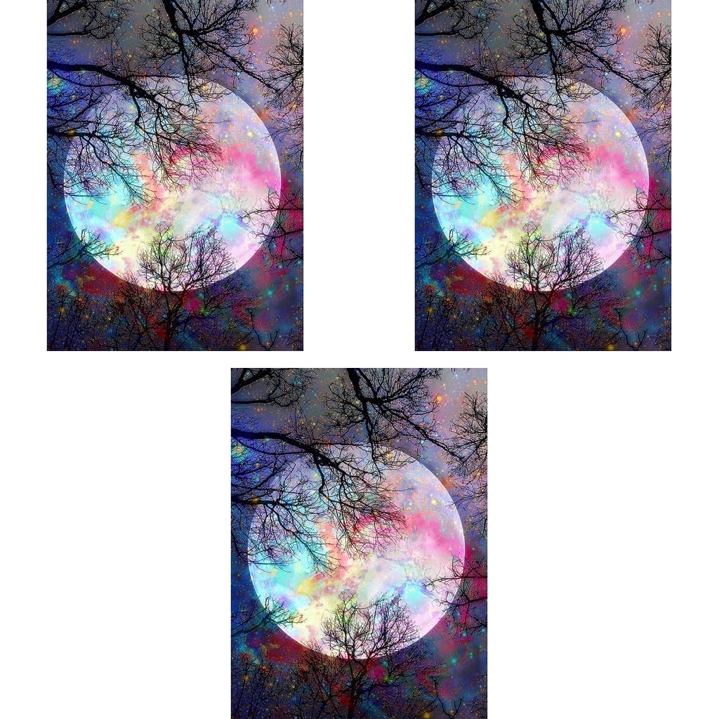 HASTHIP® Diamond Painting Kit 30 x 40cm Bright Moon 5D for Adults Kids Art Wall Hangings Super Night Scene Home Decor 3PCS