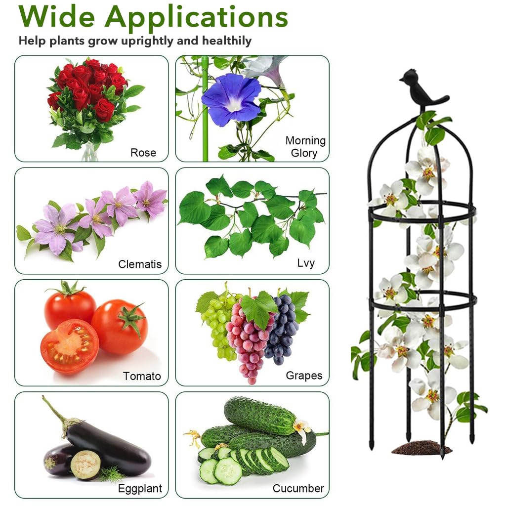 HASTHIP Climbing Trellis for Garden and Patio featuring 100cm Obelisk Structure | Decorative Metal Support for Roses and Ivy