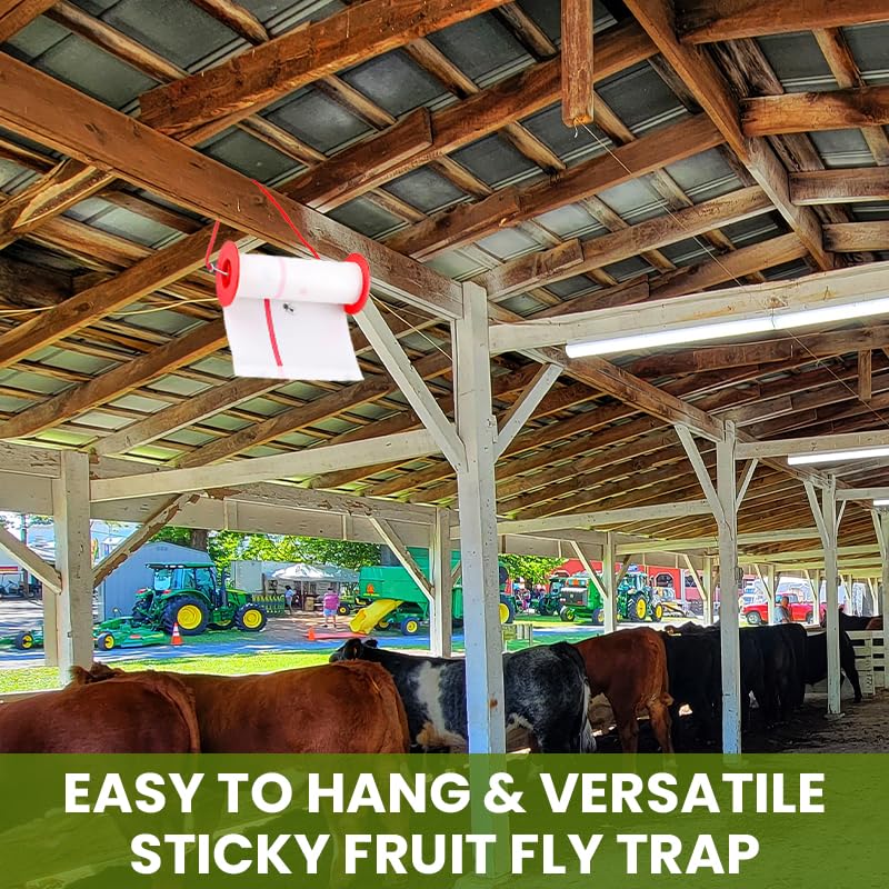 HASTHIP Sticky Trap Roll for Indoor and Outdoor Insect Control with Extra Sticky 10m Roll | Safe Non Toxic Fly Catcher for Garden and Home