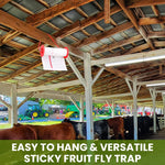 HASTHIP Sticky Trap Roll for Indoor and Outdoor Insect Control with Extra Sticky 10m Roll | Safe Non Toxic Fly Catcher for Garden and Home