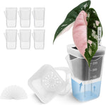 HASTHIP® 6-Pack Clear Seedling Pots, 250ml Transparent Plant Self Watering Cups with Absorbent Cotton Wicks & Ventilation Lids, V-Shaped Pour Spout, Mini Greenhouse Propagation Pots