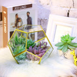 HASTHIP Artificial Plants for Home Decor with 16PCS Faux Succulent Set featuring Realistic PVC Texture | Indoor and Outdoor DIY Floral Arrangement