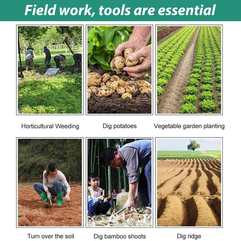 HASTHIP Weeder Hand Tool for Garden and Lawn Care featuring 6 Claws Steel Head | 40cm