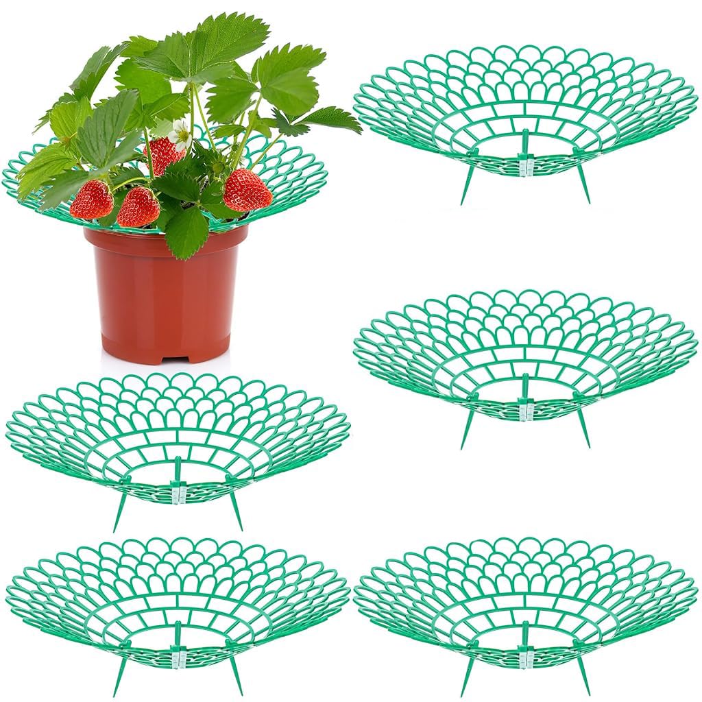 HASTHIP® Strawberry Suppoort 10.49 inches Diameter Plastic Strawberry Fruits Support Grid Support Strawberry Fruits Holder Fruits Support Rack Prevent Decay