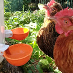 HASTHIP Chicken Drinking Cup for Barrel Feeders with Auto Refill Mechanism Set of 5 | Plastic Poultry Waterer