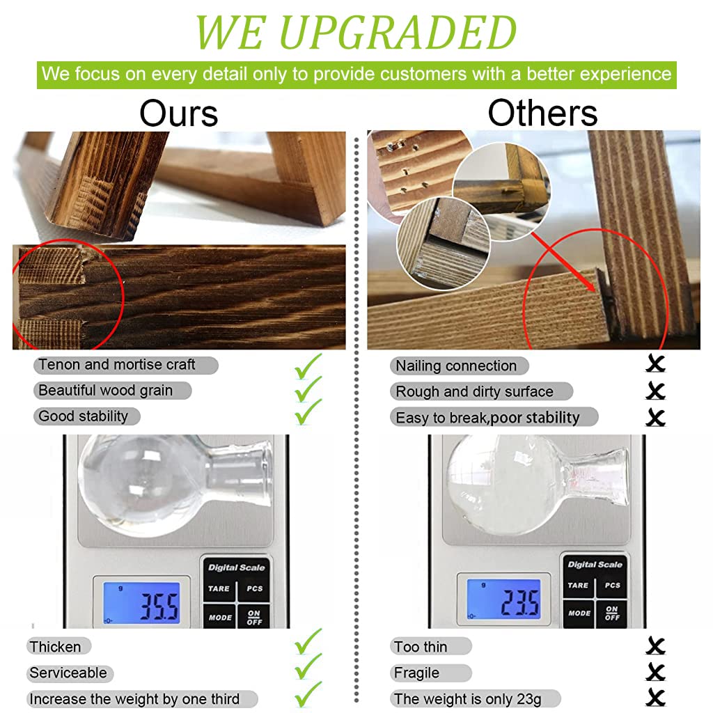 HASTHIP Hydroponics Glass Planter for Desktop Decor with 3 Bulb Vases and Wooden Stand | 11 in Wide