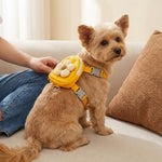 HASTHIP®Dog Cat Harness and Leash Set, Fabric Webbing Puppy Harness with Matching Leash, Mini Zipper Pouch & Cute Yellow Flower Accent, for 2-5kg Small Dogs Cats, L & M (Yellow, M)