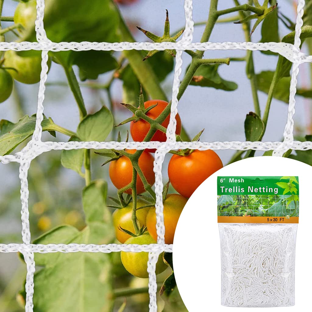 5*30 ft Creeper Plant Support Net For Agriculture And Gardening, Heavy-Duty Polyester Creepers and Climbers Plants Trellis Netting for Climbing Plants, Vegetables, Fruits, and Flowers