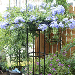 HASTHIP Metal Garden Trellis for Climbing Plants with Hollow Roof Design 95cm Height | Rust Proof Indoors and Outdoors