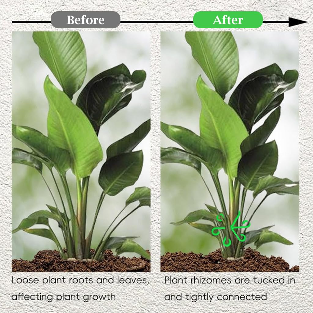 HASTHIP Plant Climbers for Houseplants 4 Pack with 6 Claw Plastic Stem Support Clips | Secure Growth