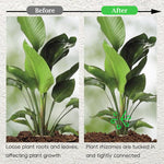 HASTHIP Plant Climbers for Indoor and Outdoor Use featuring 6-Claw Stem Holders 4 Pack | Plastic Support Rings for Climbing Plants