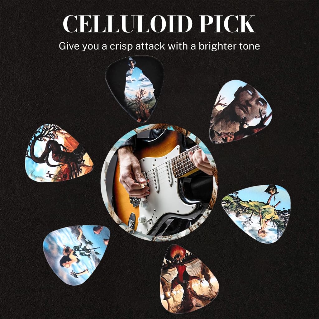 HASTHIP Guitar Picks 10 Pack for Acoustic and Electric Guitar with 0.71mm PVC Design | Artistic Printed Plectrums