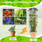 HASTHIP Garden Plant Support Trellis for Pots featuring 105cm Height and Hollow Roof Design