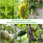 HASTHIP Plant Support Net for Climbing Plants with 5×30 ft Trellis Grid and UV‑Resistant Polypropylene