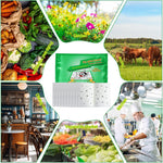 HASTHIP Adhesive Fly Trap for Kitchen and Garage with Large Surface Non-Toxic 10 Count | Odorless Insect Catcher