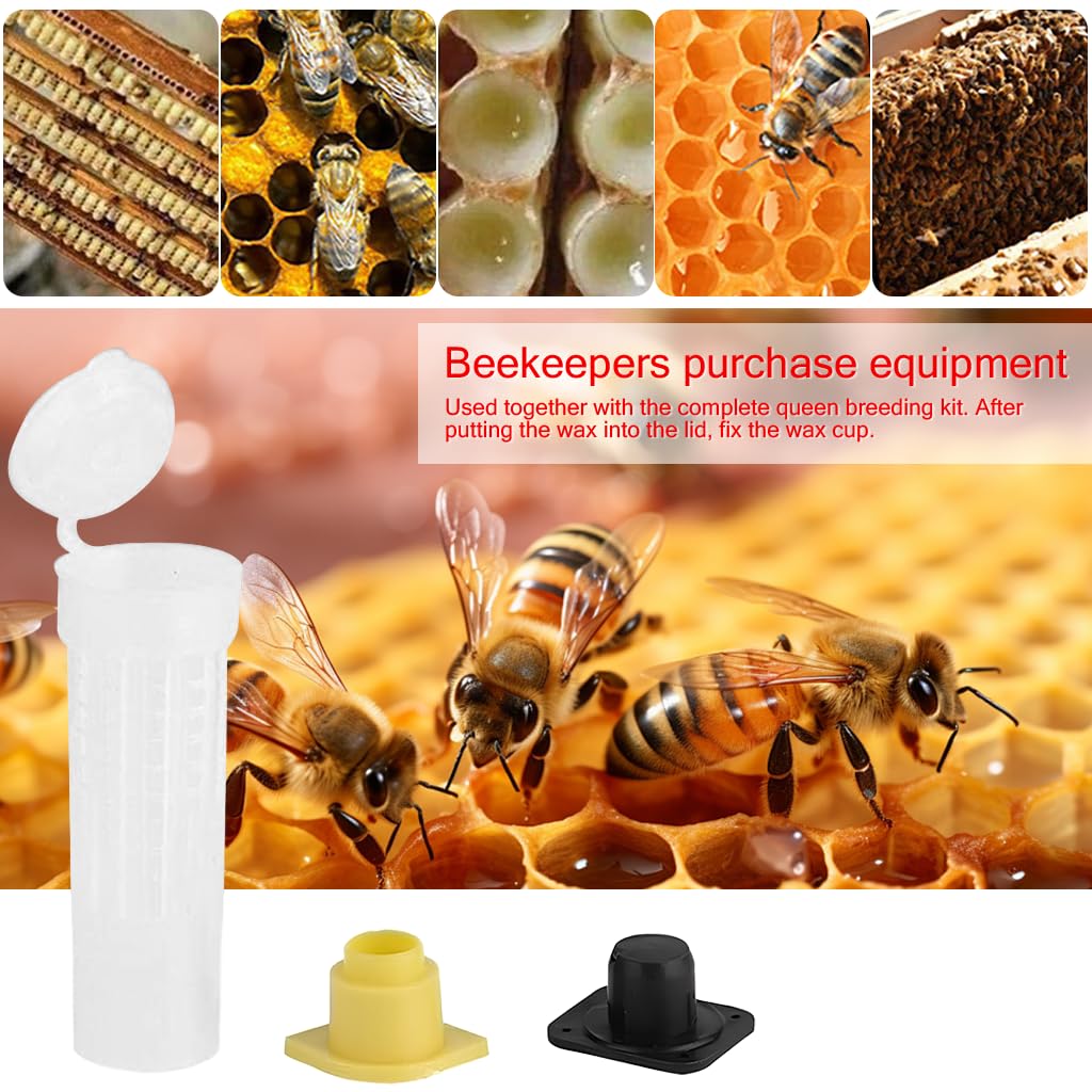 HASTHIP Queen Bee Cages for Safe Introduction with Candy Plug Bottom and Vented Design | 10Pcs 2.6cm x 7.8cm Reusable Plastic