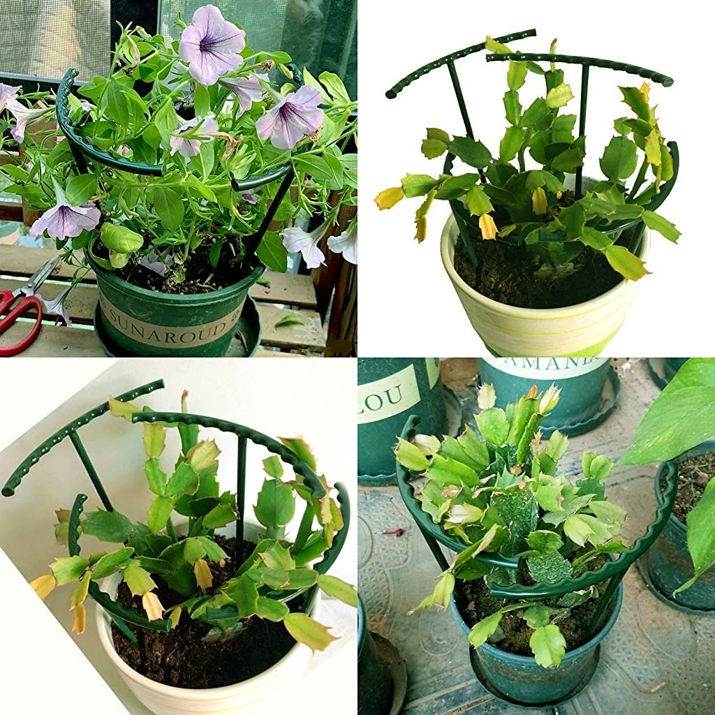 HASTHIP® Garden Plant Support Stake Connectable Sticks Creeper for Climbers 25CM Plastic Trellis Tomato Clematis 24PCS