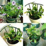 HASTHIP® Garden Plant Support Stake Connectable Sticks Creeper for Climbers 25CM Plastic Trellis Tomato Clematis 24PCS