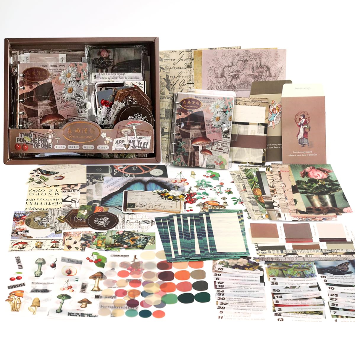 HASTHIP Journaling Kit for Scrapbooking and Bullet Journals with 346 pcs | A6 Grid Notebook and Vintage Stickers