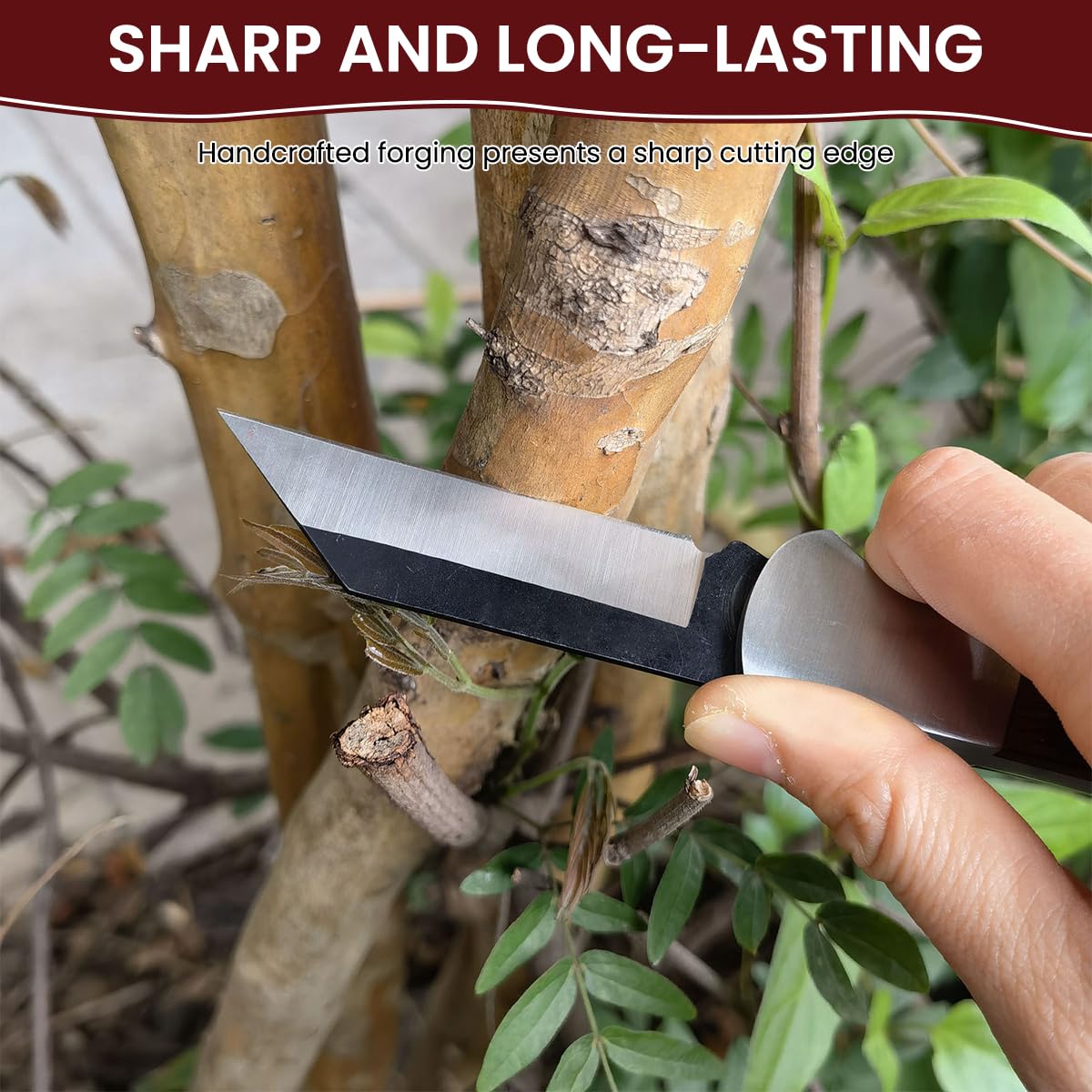 HASTHIP Grafting Cutter for Gardening with Anti Slip Wooden Handle and Stainless Steel Blade | Portable Pocket Design