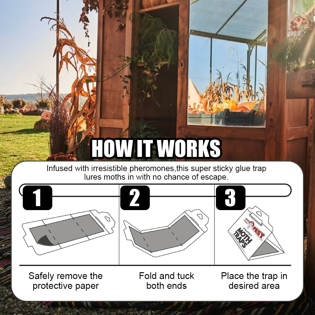 HASTHIP® 5Pcs Lightweight Moth Traps - Fly Killer Repellent for Home - Moth Balls & Traps for Home Use - Moth Treatment & Prevention (Non-Toxic) - Moth Traps for Clothes & Pantry