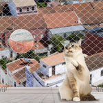 HASTHIP Pigeon Net for Balconies 32x10 ft with 25mm Holes featuring Knotted Nylon Mesh | Trim to Fit