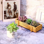 HASTHIP Artificial Plants for Home Decor with 16PCS Faux Succulent Set featuring Realistic PVC Texture | Indoor and Outdoor DIY Floral Arrangement