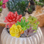 HASTHIP Artificial Succulent Plants for Home Decor with 16 Pcs Flocked PVC Set | Maintenance Free