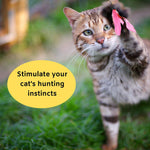 HASTHIP® Cat Toys - Interactive 11 Piece Cat Toy Set with Retractable Wands and Feather Worm Toys - Kitten Toys Variety of Vibrant Colours - Activity Toys to Exercise Cats and Kittens