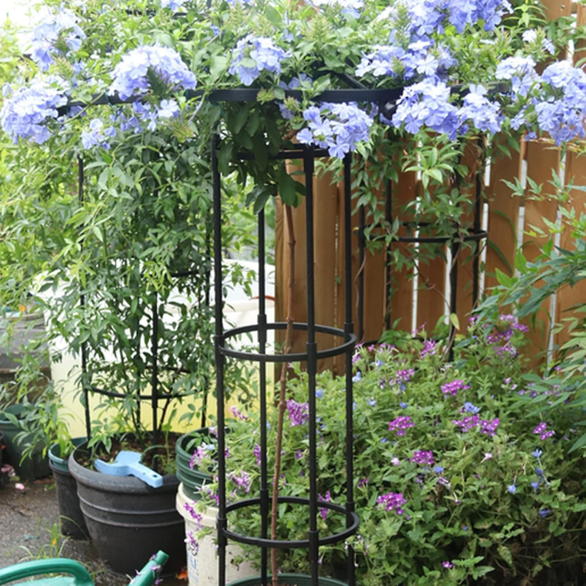 HASTHIP Metal Garden Trellis for Climbing Plants with Hollow Roof Design 90cm Height | Rust-Proof Indoor and Outdoor Support 2 PCS