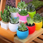 HASTHIP Artificial Plants for Home Decor with 9Pcs PVC Flocked Succulents | Indoor and Outdoor Decorations