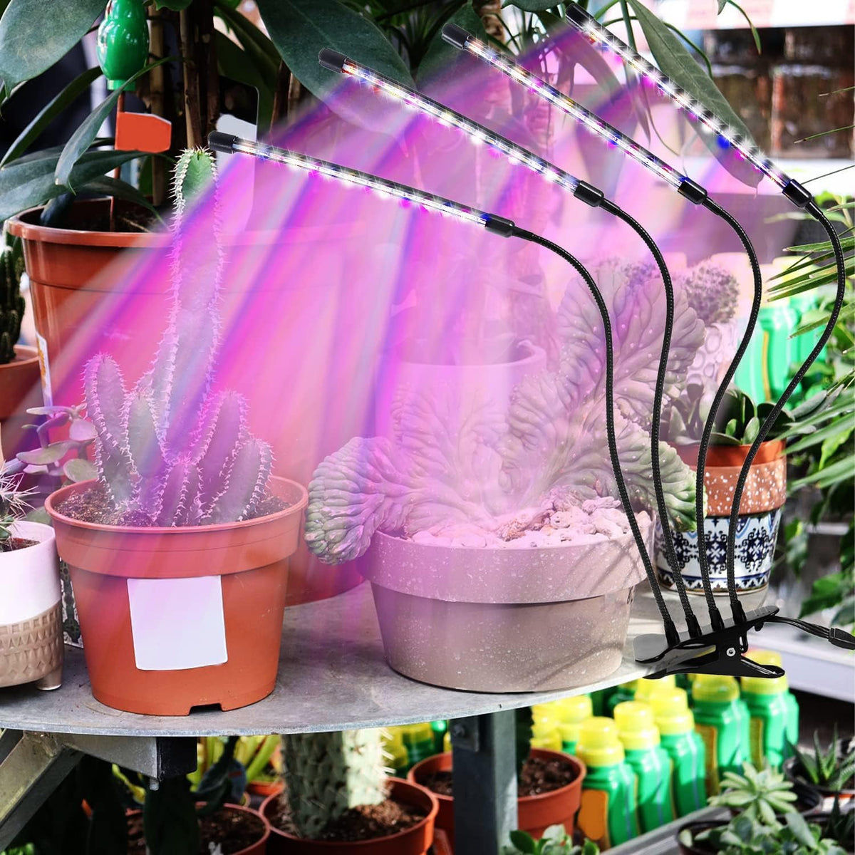 HASTHIP Grow Light for Indoor Plants with 80 LED Full Spectrum and 4 Flexible Arms | Clip-On Design