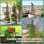 HASTHIP Trellis for Climbing Plants 120 cm with Adjustable Triangle Support | 3 Pcs Garden Set