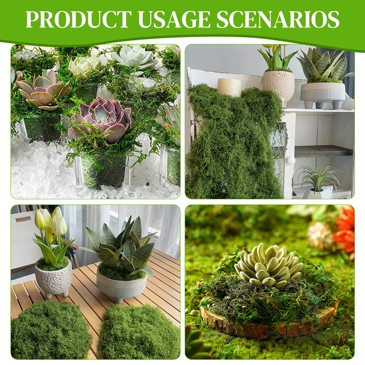 HASTHIP Realistic Moss for Planter Decoration with Lifelike Texture 200g Dark Green 2PCS