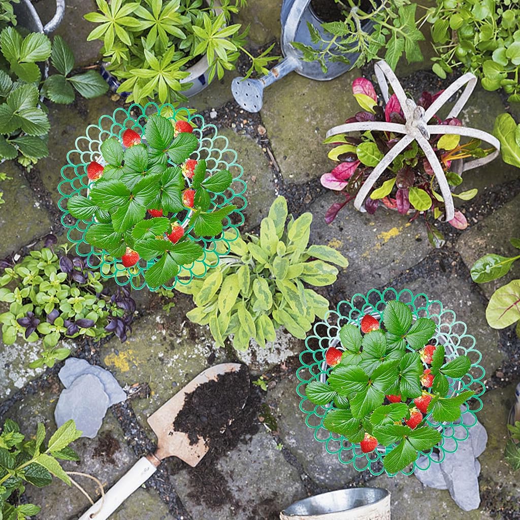 HASTHIP® Strawberry Suppoort 10.49 inches Diameter Plastic Strawberry Fruits Support Grid Support Strawberry Fruits Holder Fruits Support Rack Prevent Decay