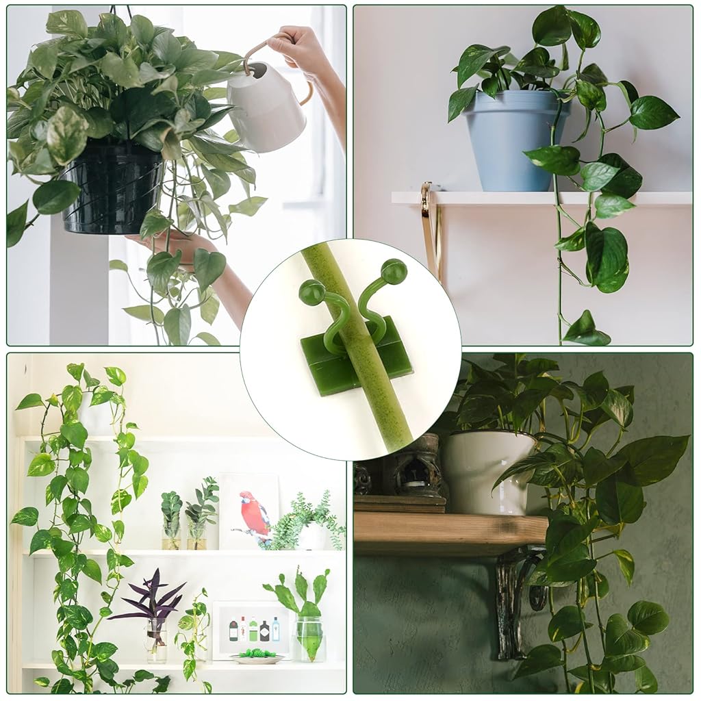 HASTHIP® Plant Support for Climbers Plant Clips Wall Fixture Clips Vine Climbing Wall Fixer Creeper Support Climbing Clip for Garden Yard 100PCS