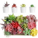 HASTHIP Artificial Succulent Plants for Home Decor with 16 Pcs Flocked PVC Set | Maintenance Free