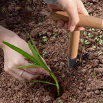 HASTHIP Dibber for Seed and Seedling Planting with 10 in Wooden Handle and Metal Tip | Ergonomic T Handle
