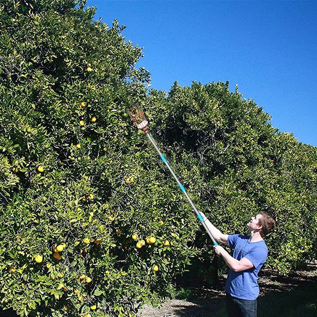HASTHIP Fruit Picker for Mango Coconut and Apple Trees with 1.9m Telescopic Pole and 7-Claw Basket