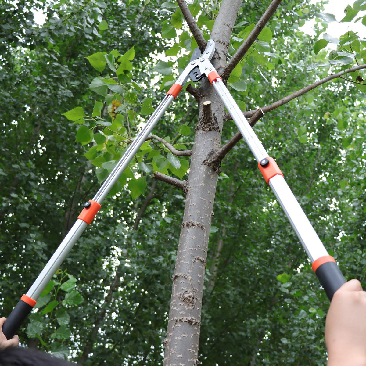 HASTHIP Branch Cutter for High Tree Pruning with 27–40 in Telescopic Handle and SK5 Steel Blade