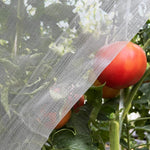 HASTHIP Garden Mesh Netting for Plant Protection 8ft x16ft with Fine Mesh PE Cover | Allows Sunlight and Air Flow