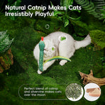 HASTHIP® Cat Realistic Catnip Crinkly Sound 1 Pcs