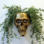 HASTHIP® Wall Planter, Gothic Skull Planter Golden Finish Resin Wall Hanging Planter, Halloween Garden Decor Room Decor, 12.5x19.5cm