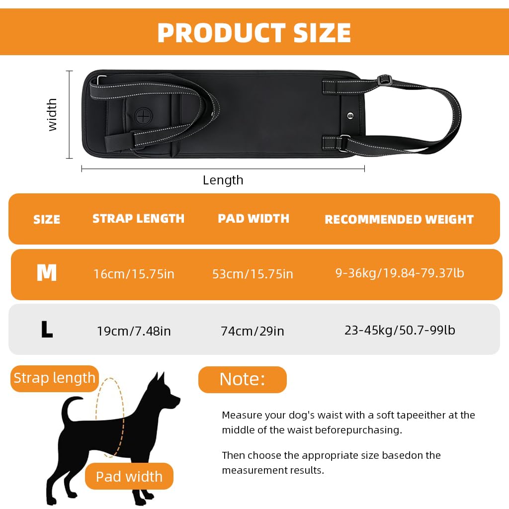HASTHIP Dog Lift Harness for Rear Support – Black M