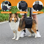 HASTHIP Dog Lift Harness for Rear Support – Black M